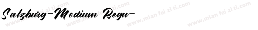 Salzburg-Medium Regu字体转换